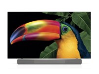 LG OLED TV1